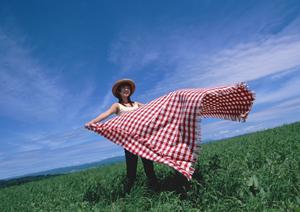 様々な鍵の開錠依頼をする事が可能